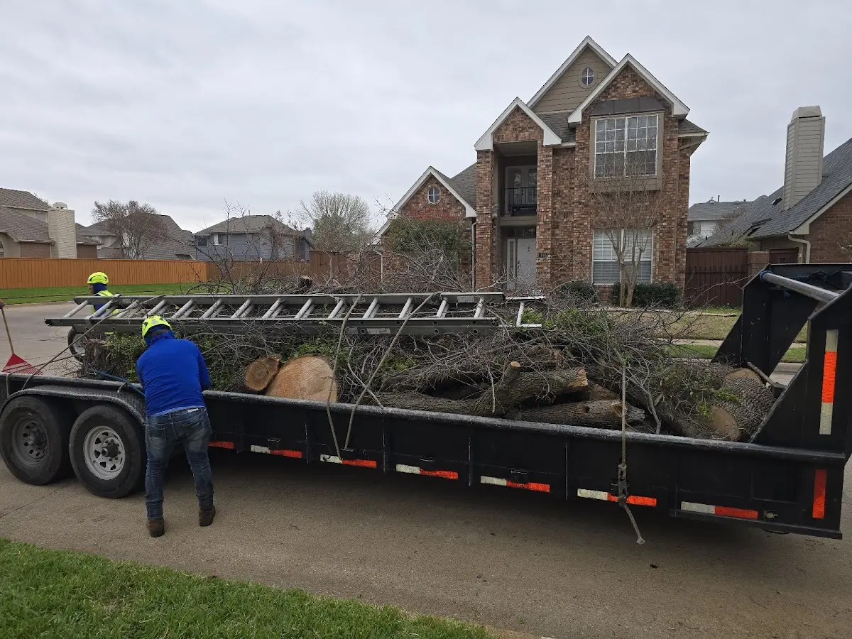 Expert Tree Fertilization with proper safety equipment in Anthony